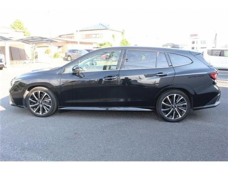 LEVORG