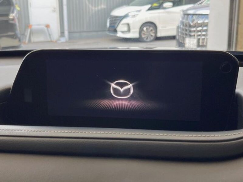 CX-30