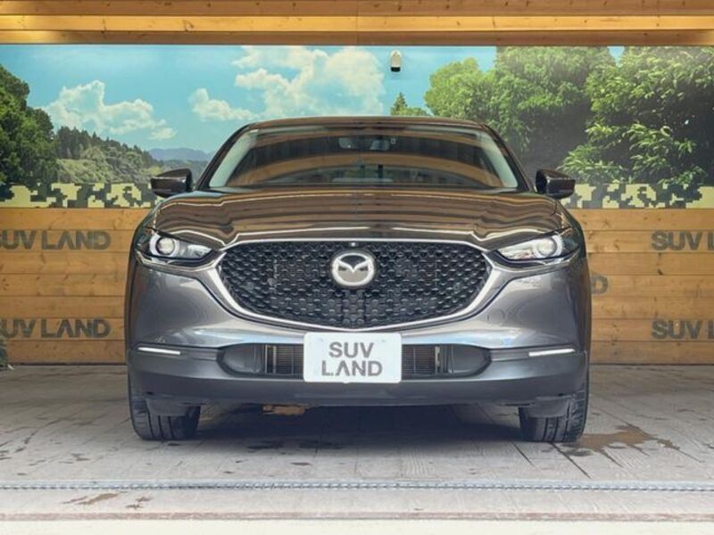 CX-30