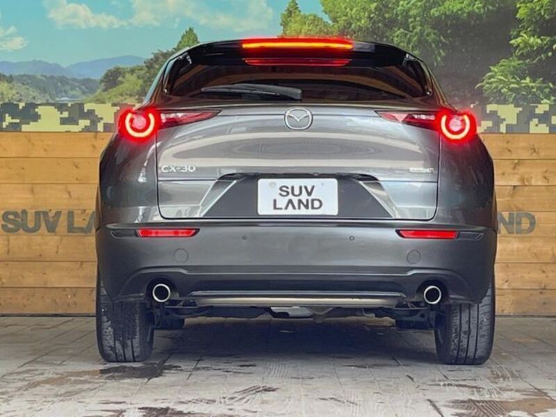 CX-30