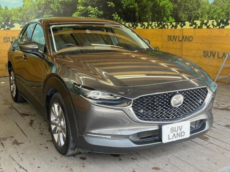 CX-30