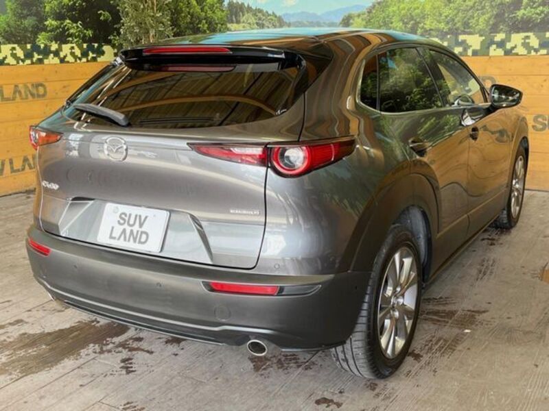 CX-30