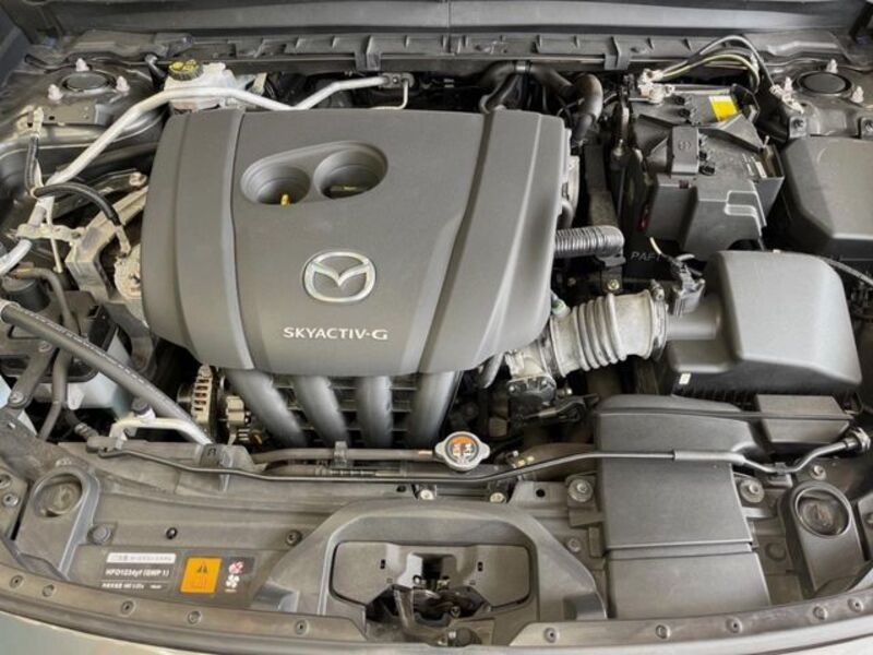 CX-30