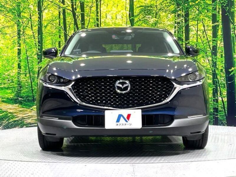 CX-30