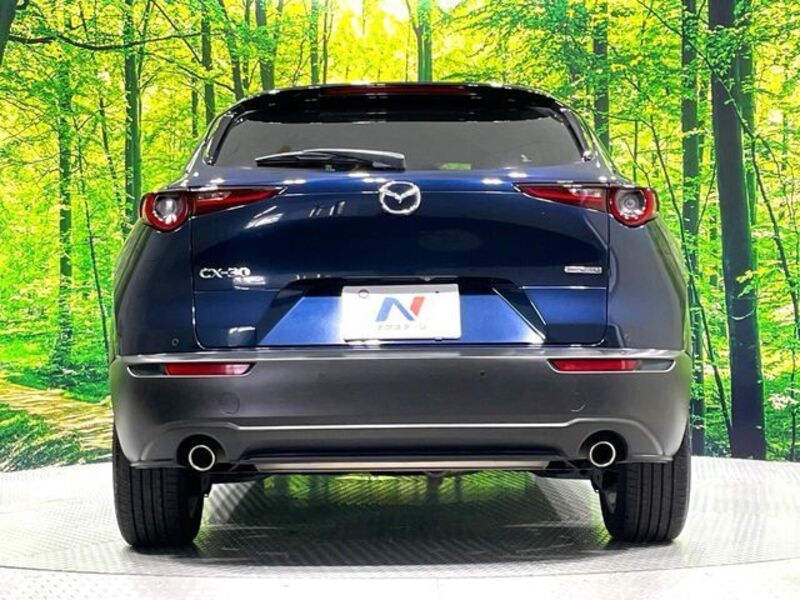 CX-30