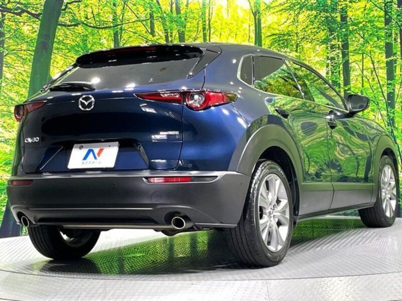 CX-30