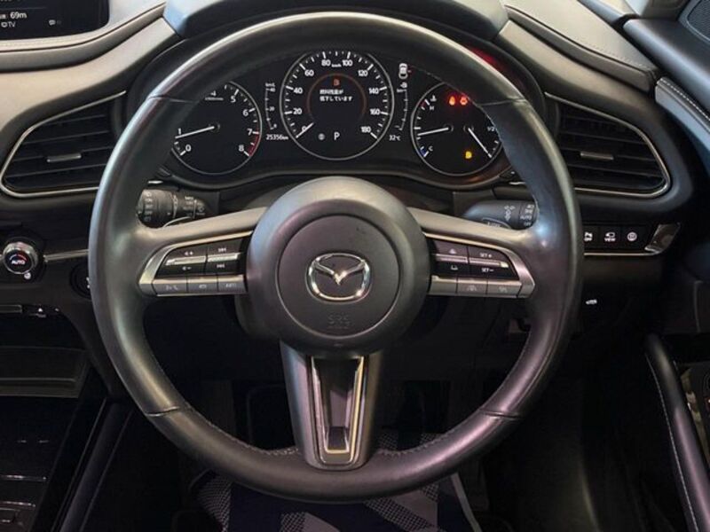 CX-30