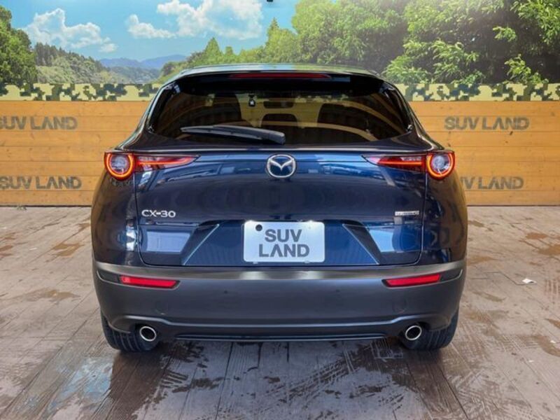 CX-30