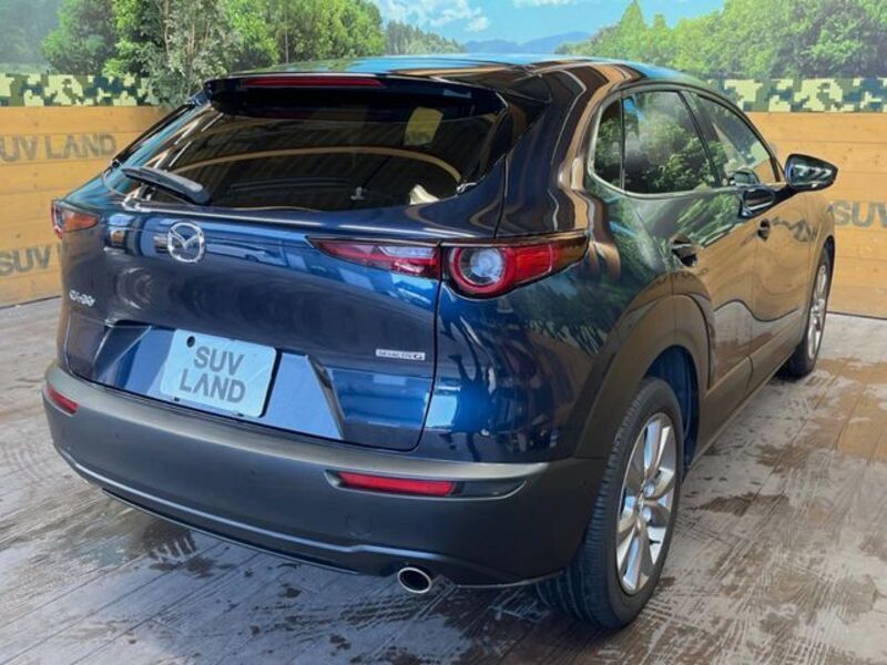 CX-30