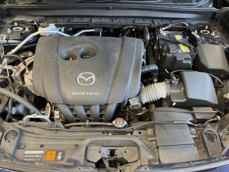 CX-30