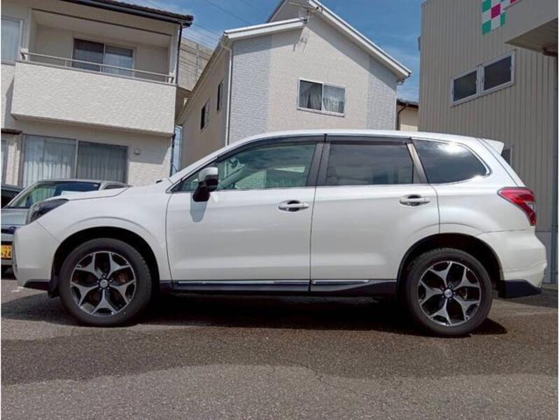 FORESTER