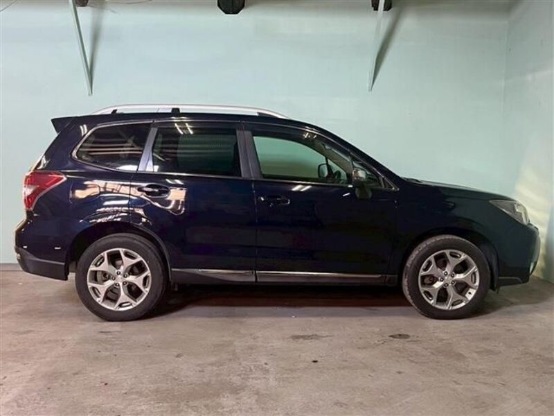 FORESTER