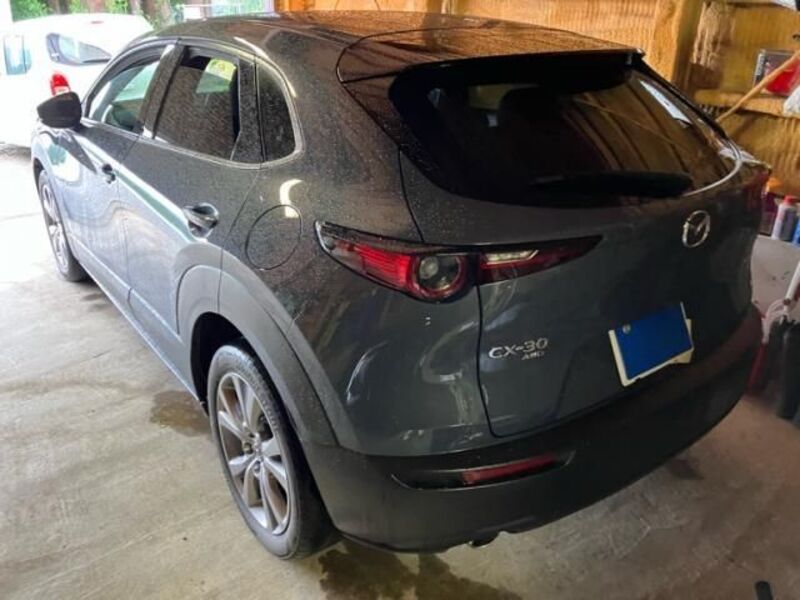 CX-30