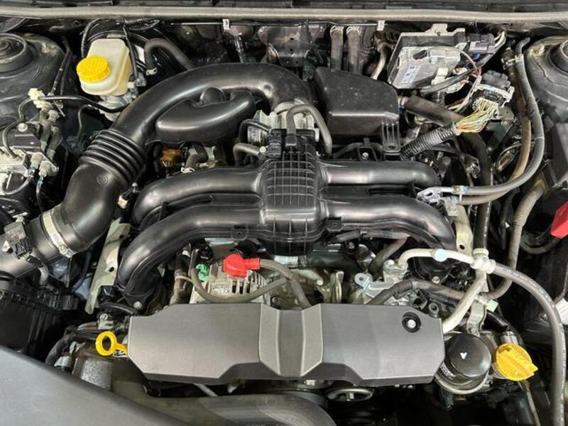 XV