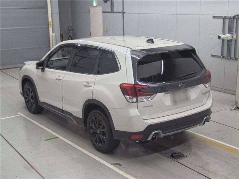 FORESTER
