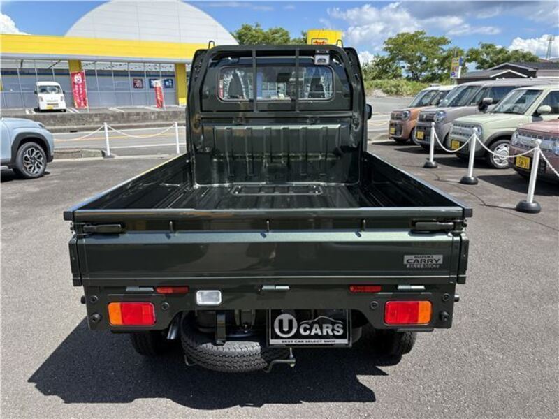 CARRY TRUCK