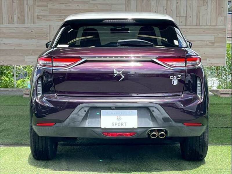 DS3