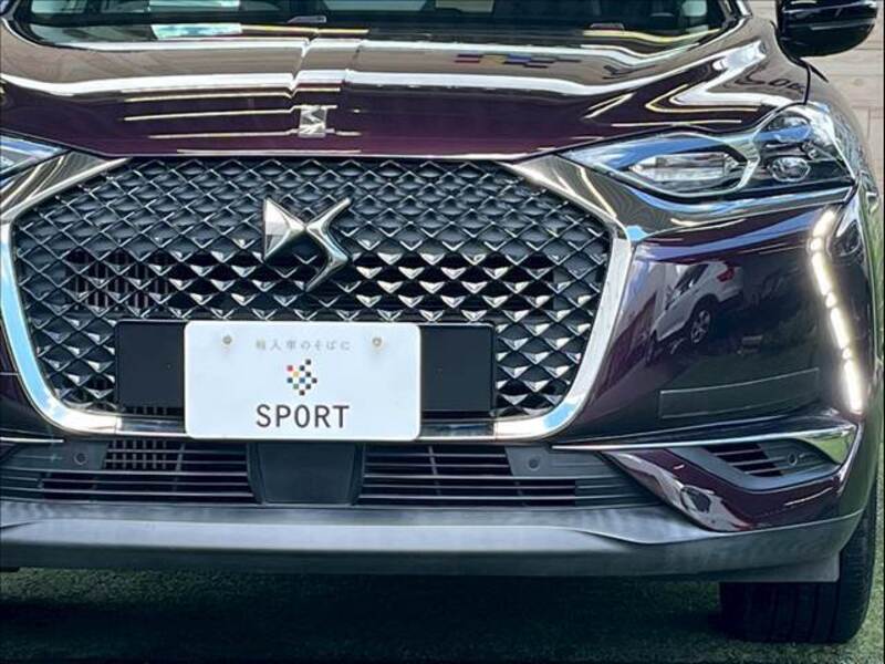 DS3