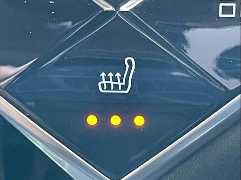 DS3