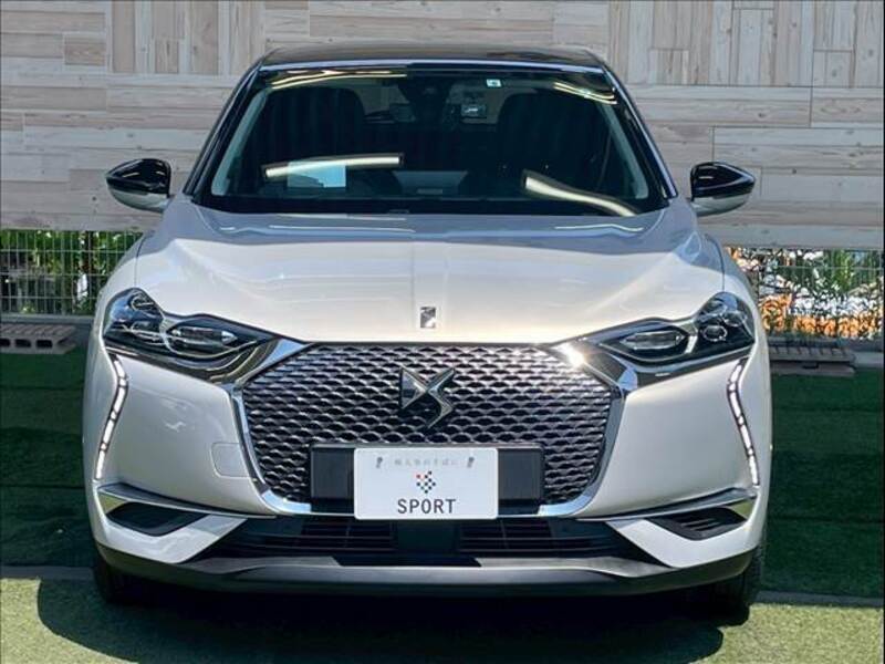 DS3
