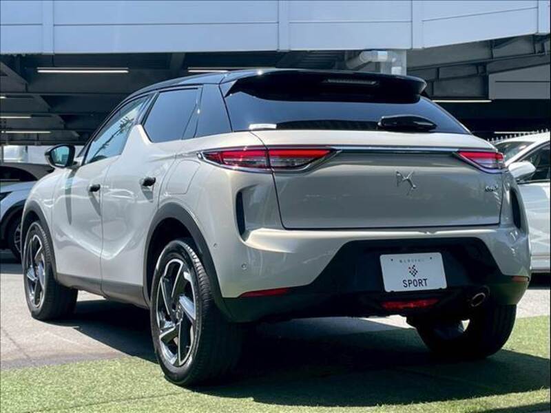 DS3