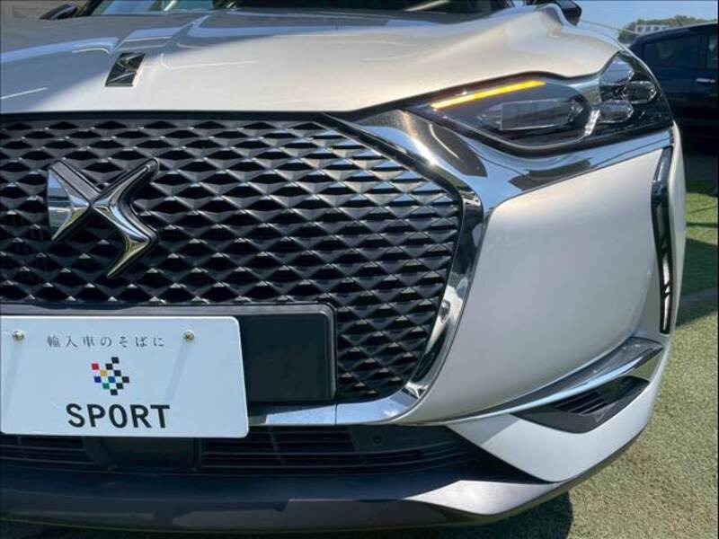 DS3