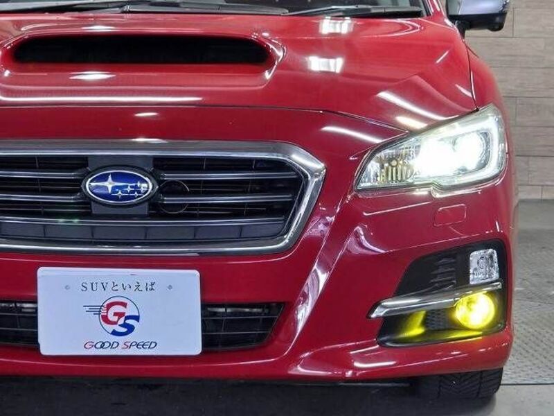 LEVORG