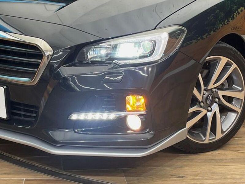 LEVORG