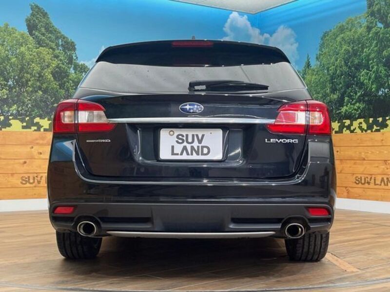 LEVORG