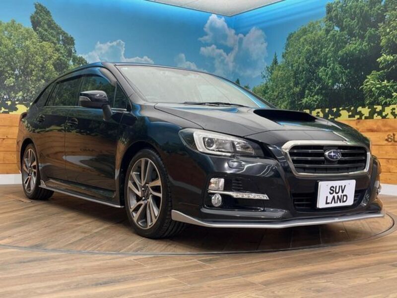 LEVORG
