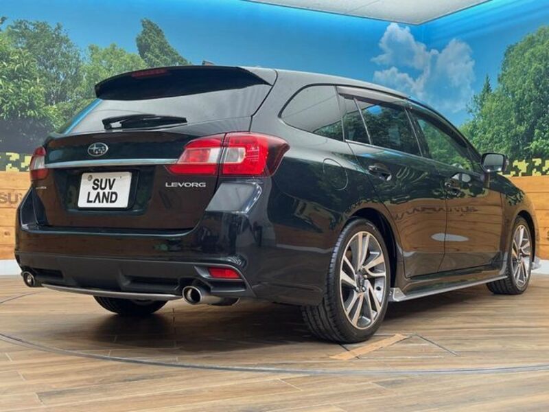 LEVORG
