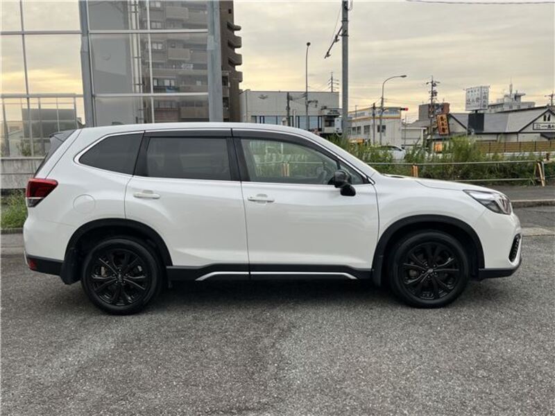 FORESTER