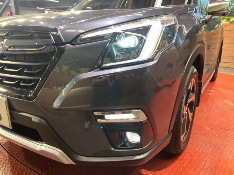 FORESTER