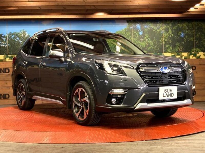 FORESTER