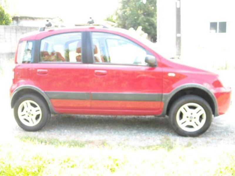 NEW PANDA