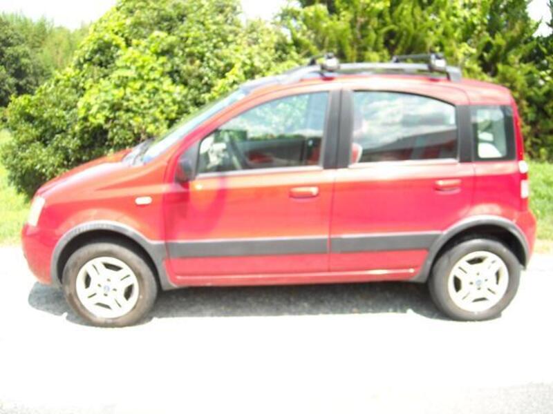 NEW PANDA