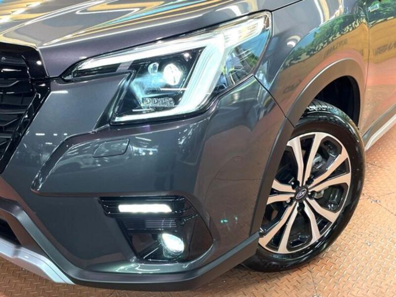 FORESTER