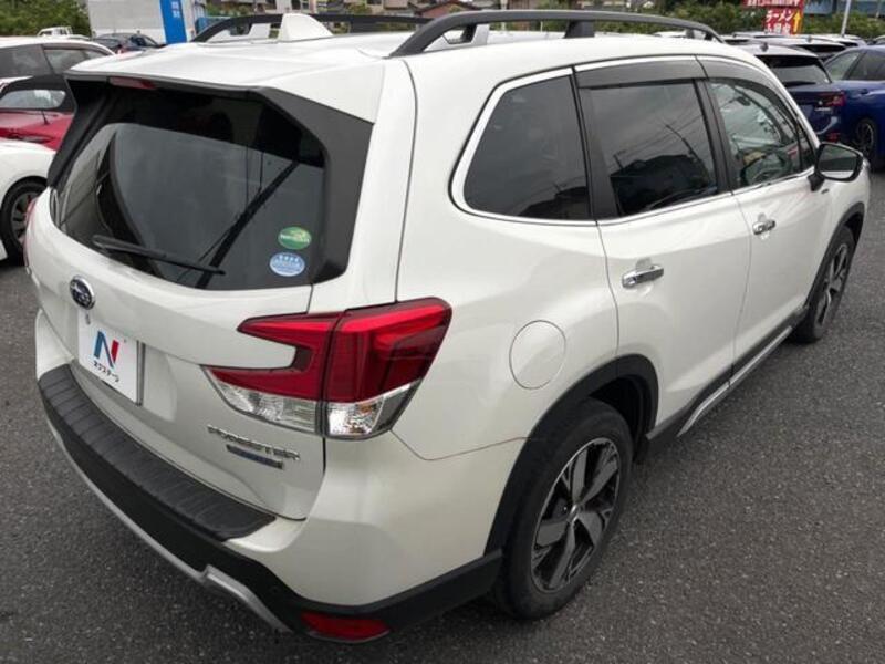 FORESTER