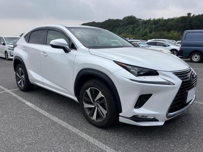 LEXUS NX