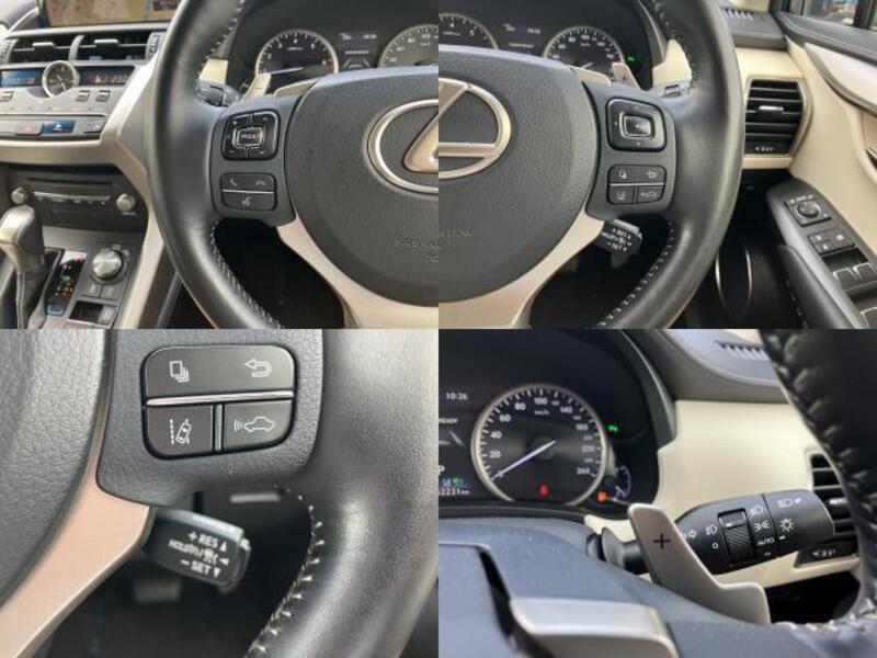 NX