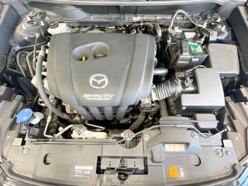 CX-3