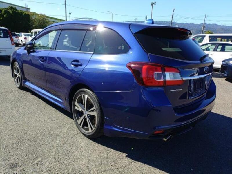 LEVORG