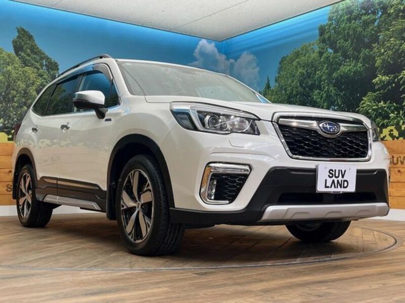 FORESTER