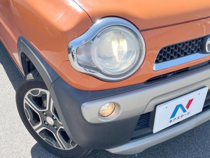 FLAIR CROSSOVER