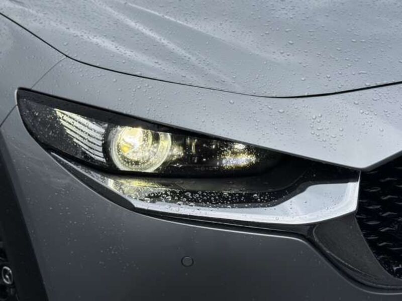 CX-30