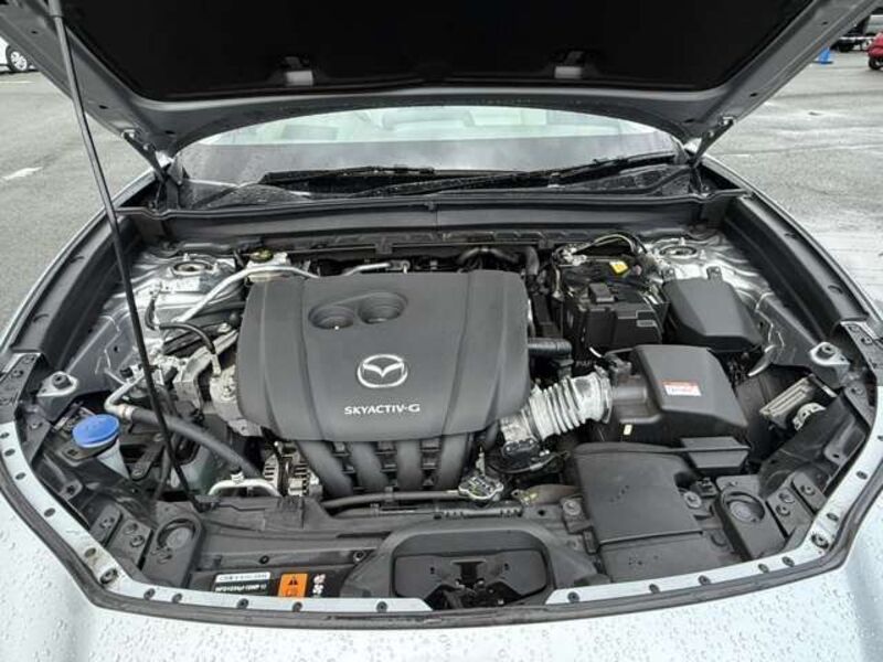 CX-30