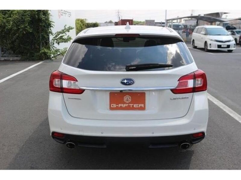 LEVORG