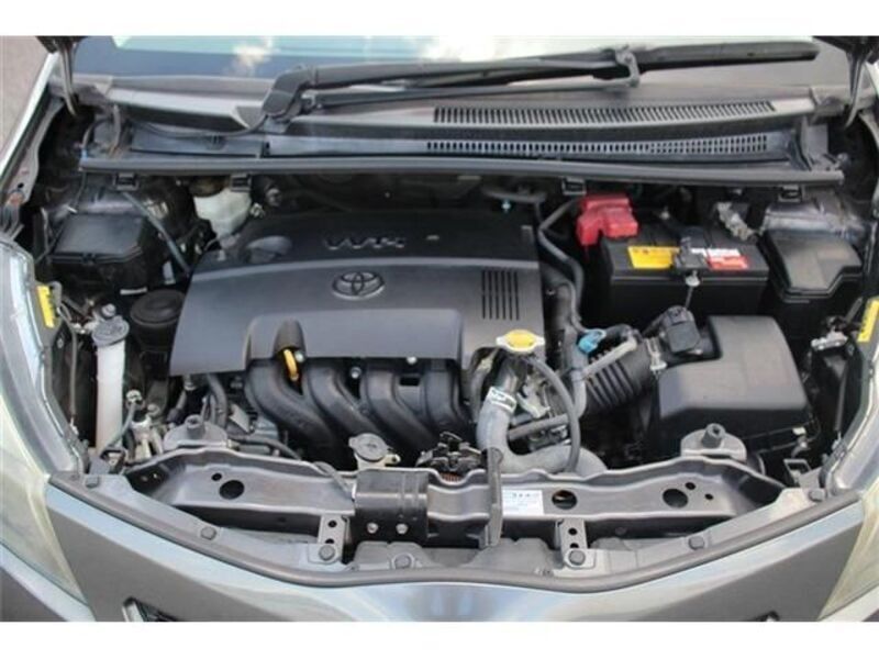 VITZ