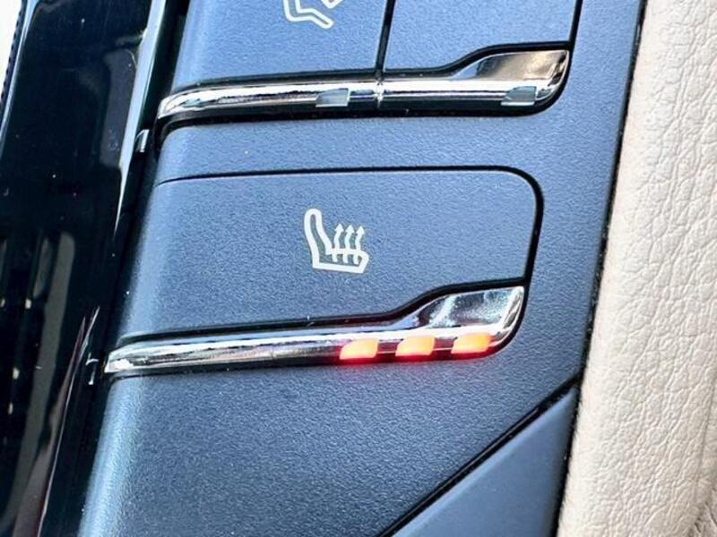 CAYENNE