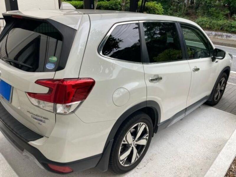FORESTER